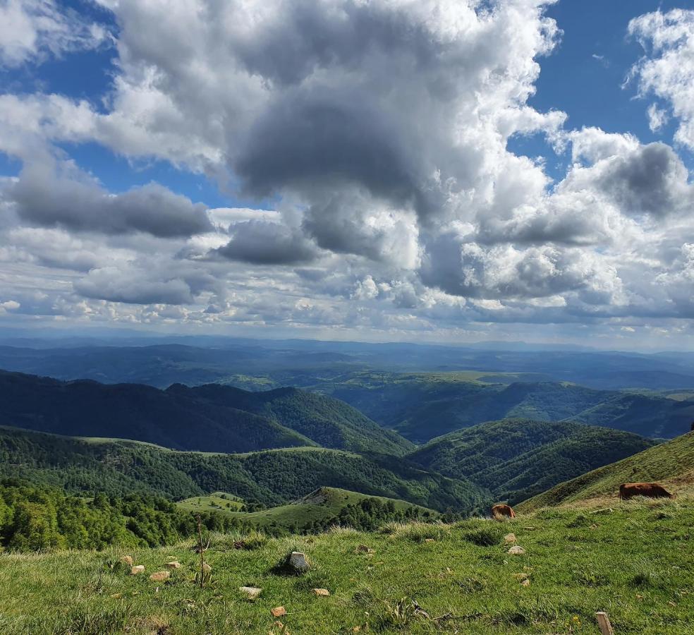 Home Belic Golija Radaljica Kültér fotó