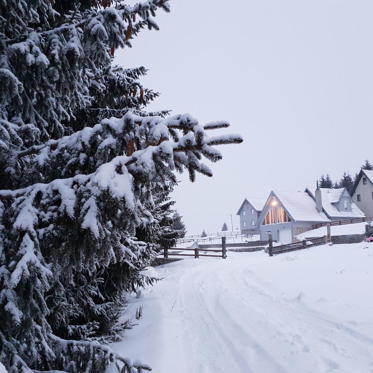 Home Belic Golija Radaljica Kültér fotó